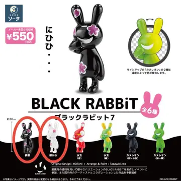 BLACK RABBiT 블랙라빗 7 2종 세트