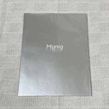SnowMan Mania 팜플렛