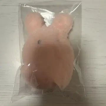 지박소년 하나코 군 페어리 못케 코스모 월드 콜라보