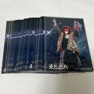 기사A 기사X 바우군