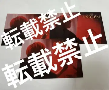 기사A 기사X 바우군