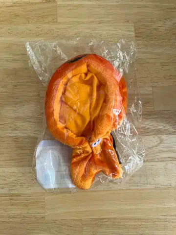 DAY6 데니멀즈 할로윈 코스튬 2