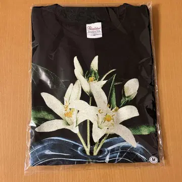TENBLANK x SAINT Mxxxxxx 콜라보 T셔츠