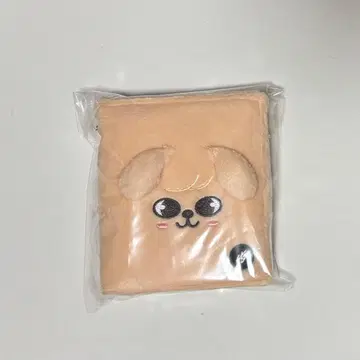 stray kids PuppyM 승민 사진 카드 케이스