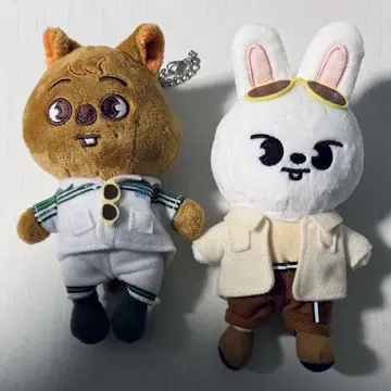 5-star 백참 리노 한세트
