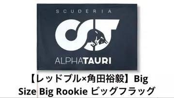 [레드불 x 쓰지다 유키] Big Size Big Rookie 빅 플래그