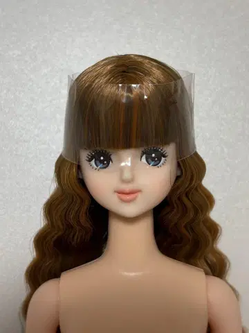 호시자와 나나코 제니 프렌드 h 오타노시미 인형 리카짱 캐슬