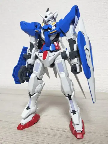 HG 엑시아