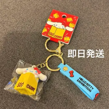 Hello kitty 헬로키티전 시나모롤 러버 입체 키링