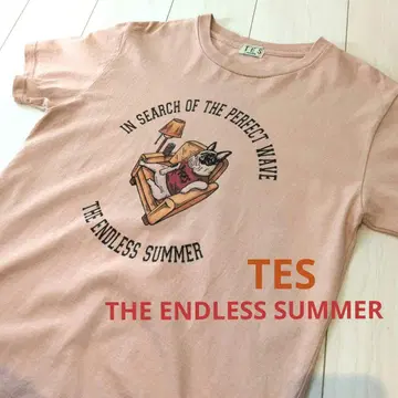 THE ENDLESS SUMMER TES 남성용 반팔 티셔츠