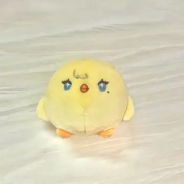 plave 노아 봉제 인형 삐아