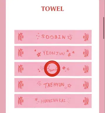 TXT DREAM WEEK JAPAN 팬미팅 범규 타월