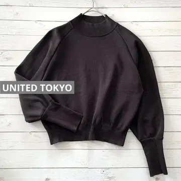 UNITED TOKYO 볼륨 슬리브 하이넥 니트 브라운