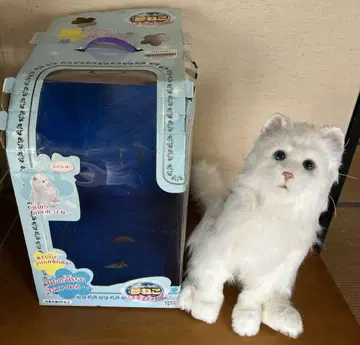 중고품 꿈 고양이 스마일