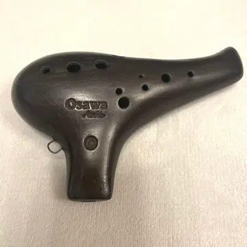 오오사와 오카리나 노블 C관