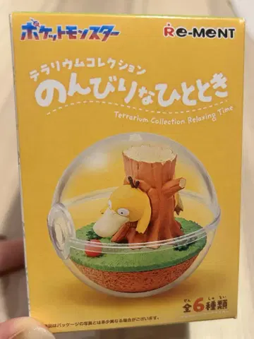 테라리움 컬렉션 느긋한 한때