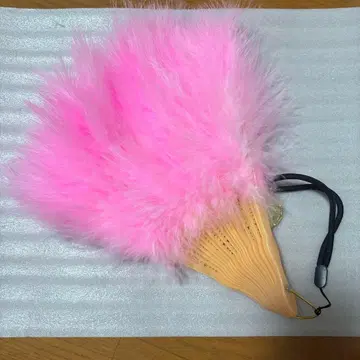 노기자카46 바브미 선생님 부채