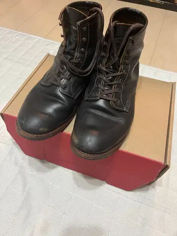 RED WING Beckman Flatbox 블랙 사이즈: 26.5