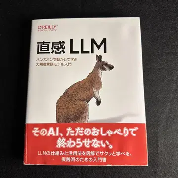 직관 LLM