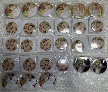 토오가타 미리오 히로아카 나의 히어로 아카데미아 캔뱃지 세트 일괄 판매