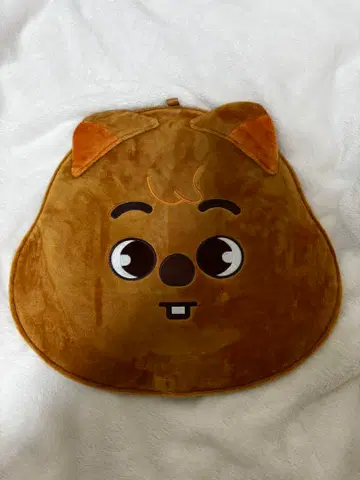 스키즈 한 부채 커버