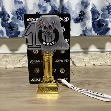 WEST. award 응원봉