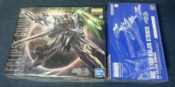 MG 1/100 이클립스 건담 라이진 스트라이커 팩