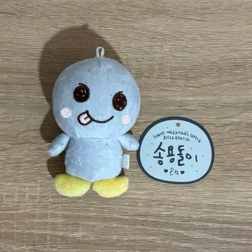 riize 은석 성윤돌 10cm 봉제 인형 인형 키링
