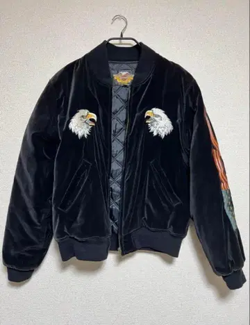 Harley-Davidson 스카잔 벨로아