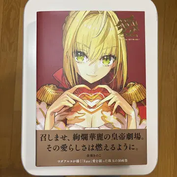 아이 와다 아루코 fate art works 화집