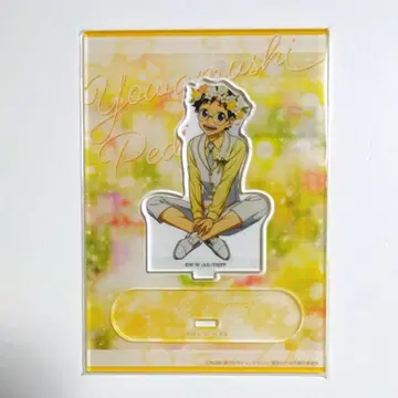 겁쟁이 페달 벌스데이 플라워 아크릴 스탠드 오노다 사카미치