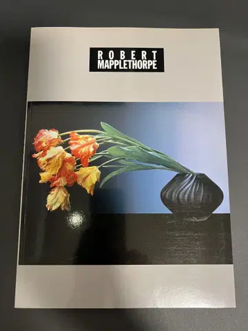 로버트 메이플소프전 1996~1998년 도록