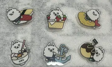 욘몬 고토치 배치 세트