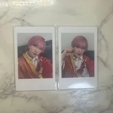 팬더 드래곤 타이거 하피카