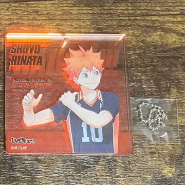 하이큐!! 점프 페스타 2025 한정판 오로라 키홀더 히나타 쇼요