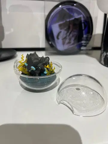 포켓몬 테라리움 컬렉션 9 렌트 리멘트