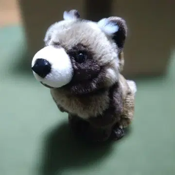 카롤라타 일본너구리 봉제 인형