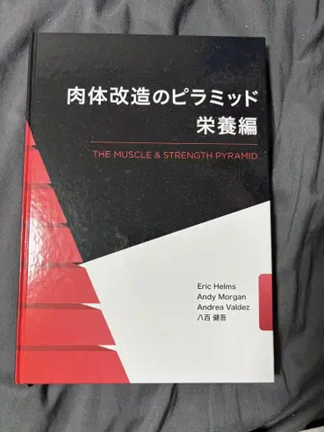 신체 개조의 피라미드 영양편