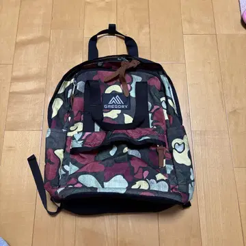 GREGORY 이지피지데이