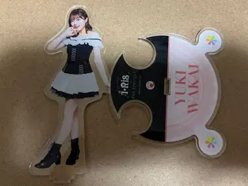 와카이 유키 복권 아크릴 스탠드 약 15cm