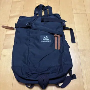 GREGORY 멀티 데이