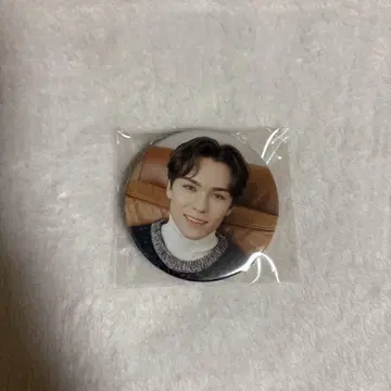 SEVENTEEN 세부치 버논 home 캔뱃지