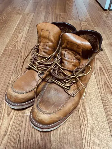 Red wing 875 26cm 아이리쉬 세터