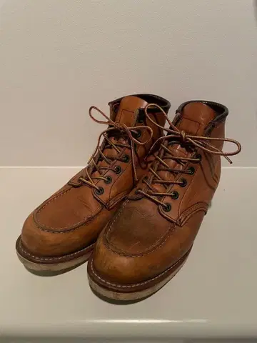 Red wing 875 26cm 아이리쉬 세터