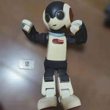 Robi 로봇 가동식