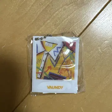 vaundy 캡슐 타임 패러독스 키링 미사용 새상품