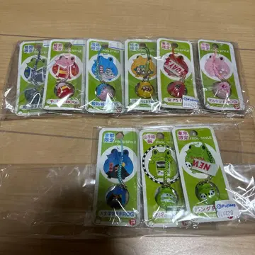 프로그 스타일 한정품