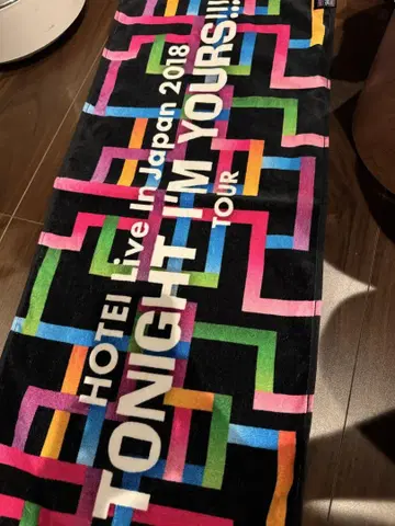 HOTEI 2018 Live in Japan 타월