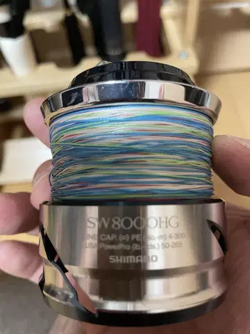 SHIMANO TWINPOWER SW8000HG