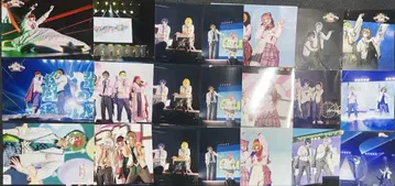 컬러풀피치 카라피치 브로마이드 카라피치 파라다이스 2025